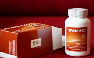 Препарат Терафлекс для суставов