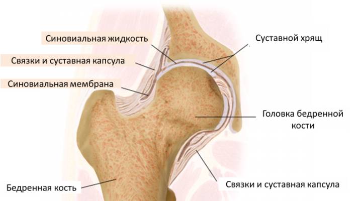 Тазобедренный-сустав