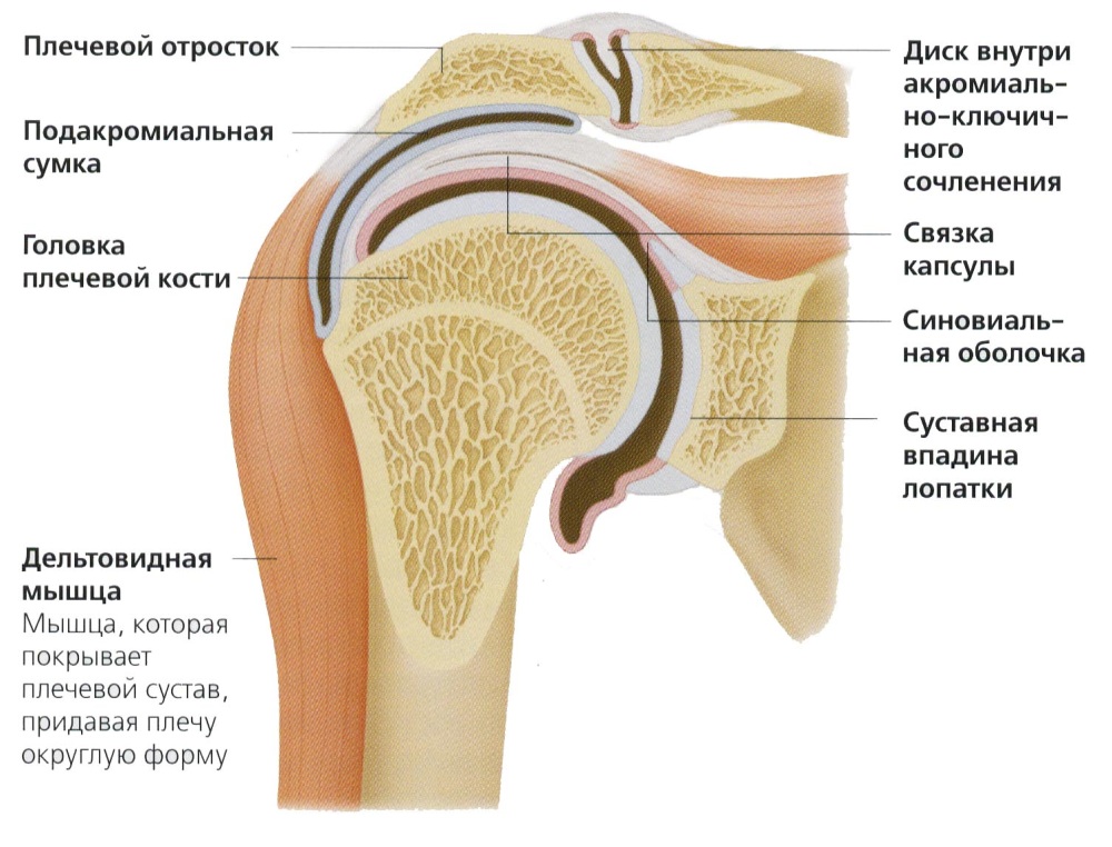image-345