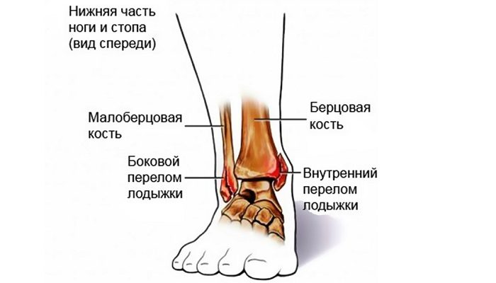 lodyzhkasosmeshh2