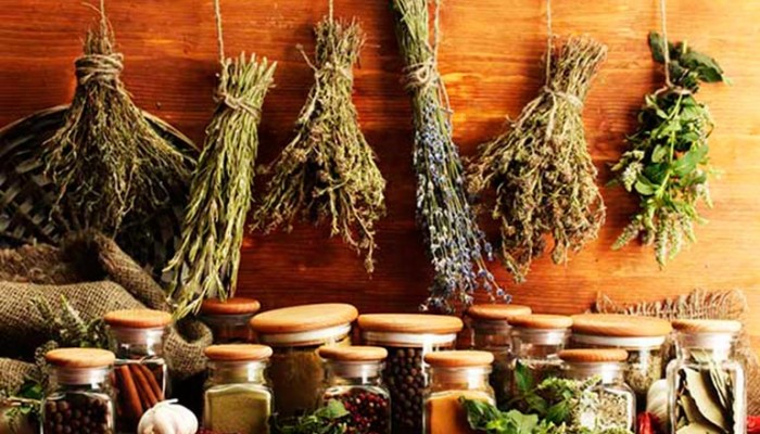 narodnaya-meditsina-ot-izzhogi