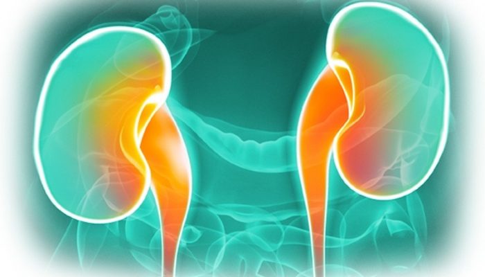 nefrolog-podagricheskaya-nefropatiya-01-final-02