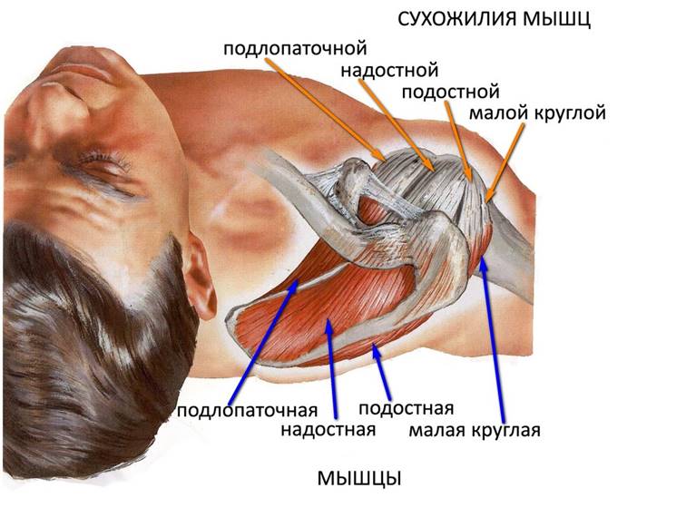 risunok3_1