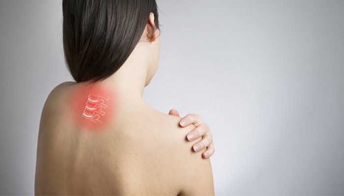 spine